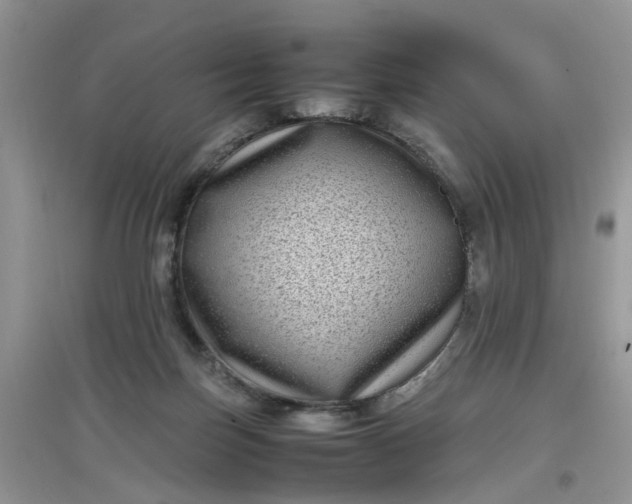 X0000097640171200803142055