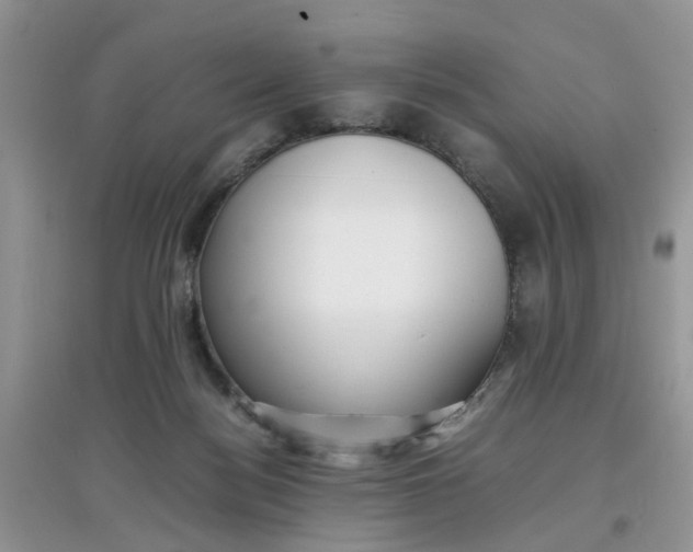 X0000097640172200803142055