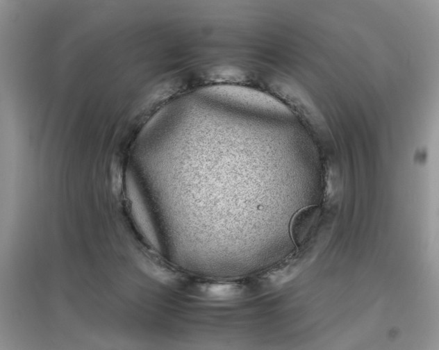 X0000097640173200803142055