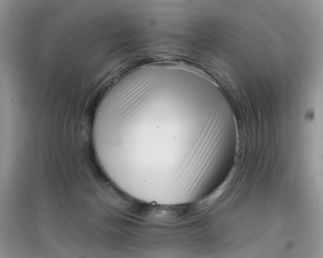 X0000097640174200803142055