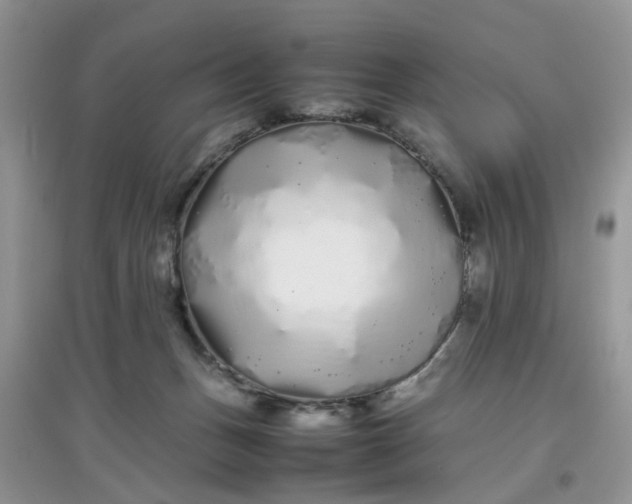 X0000097640175200803142055