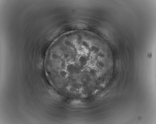 X0000097640177200803142055