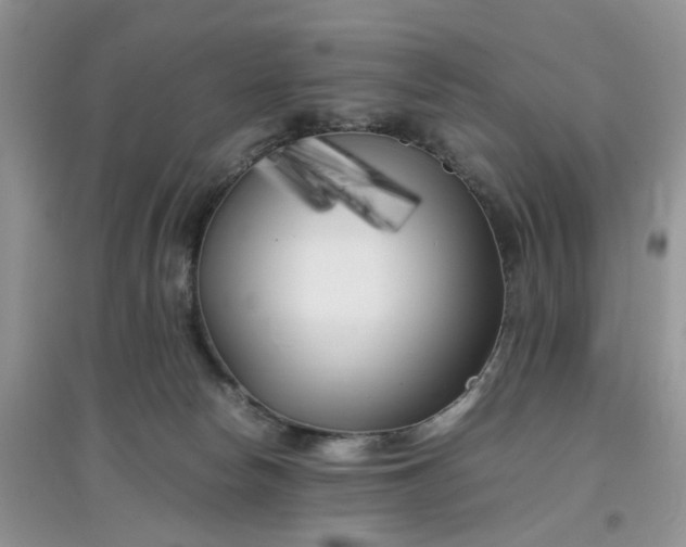 X0000097640178200803142055