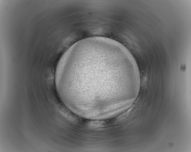 X0000097640179200803142055