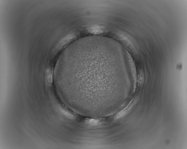 X0000097640180200803142055