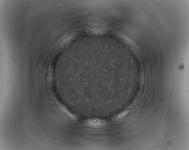 X0000097640181200803142055