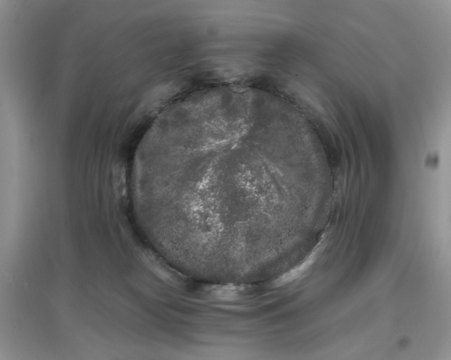 X0000097640182200803142055