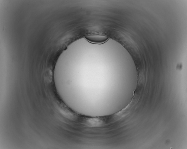 X0000097640183200803142055