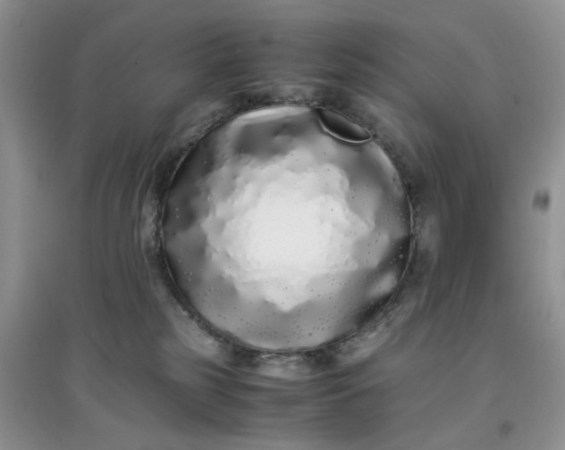 X0000097640185200803142055