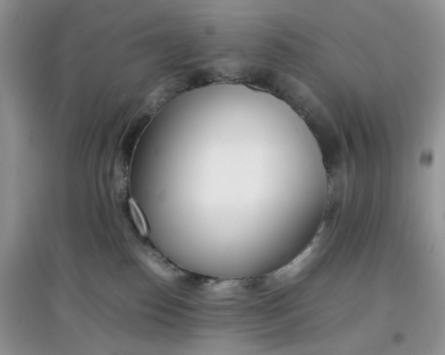 X0000097640186200803142055