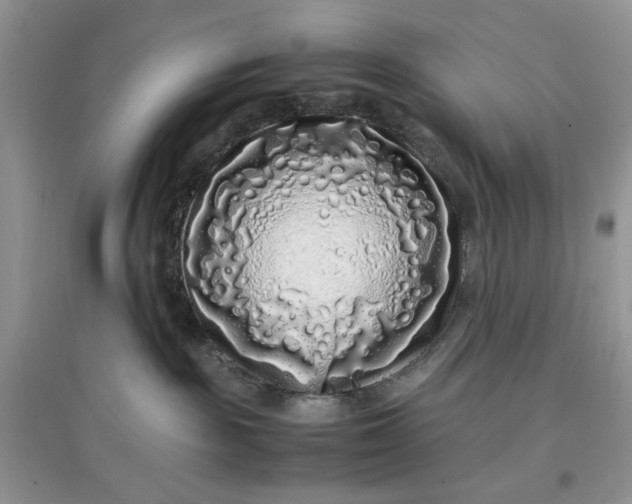 X0000097640189200803142055