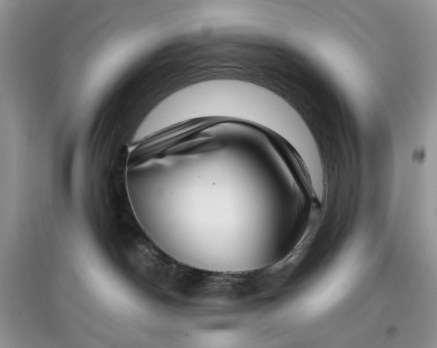 X0000097640190200803142055