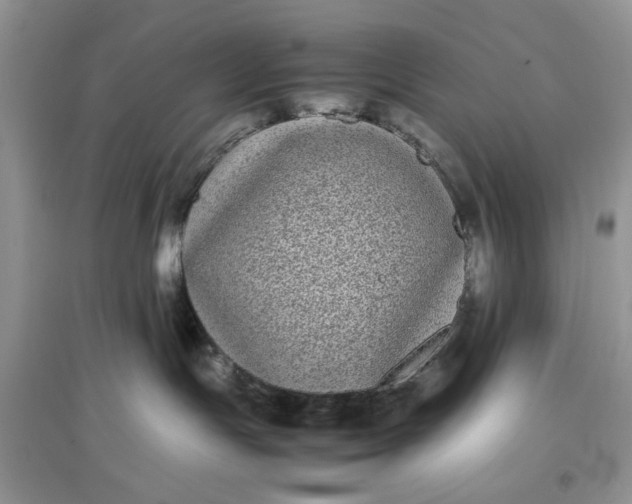 X0000097640191200803142055