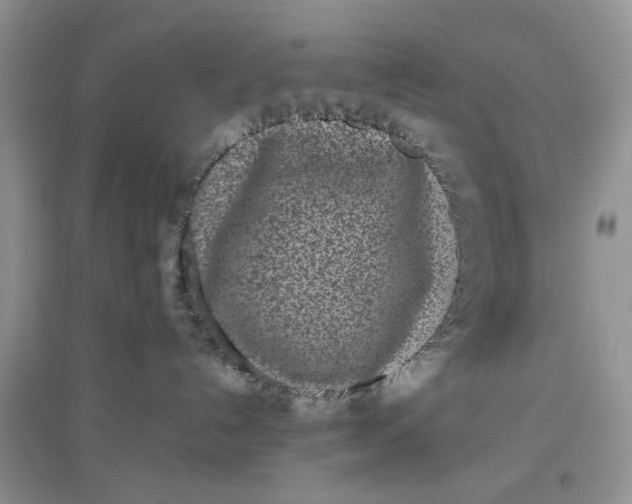 X0000097640192200803142055