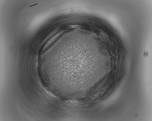 X0000097640194200803142054