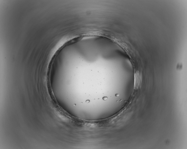 X0000097640195200803142054