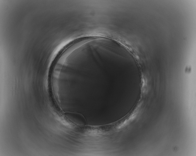 X0000097640200200803142054