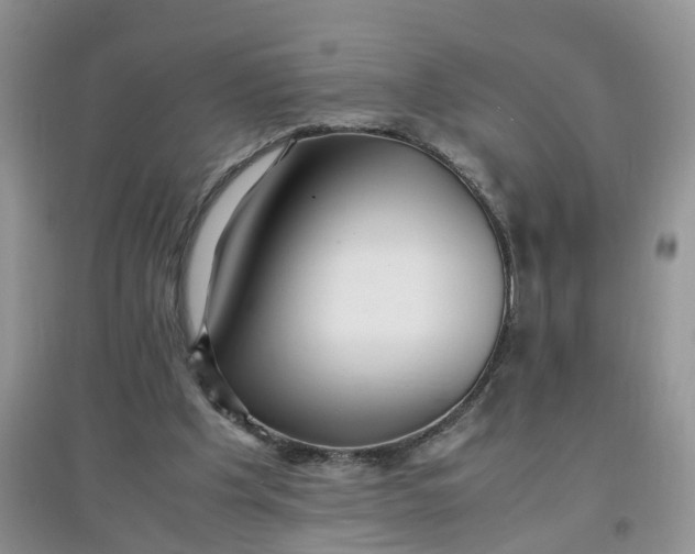 X0000097640201200803142054