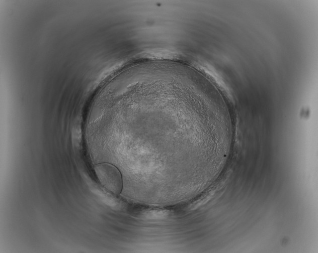 X0000097640202200803142054