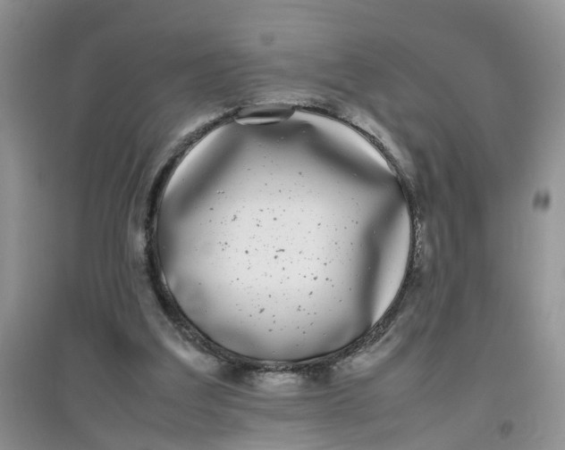 X0000097640203200803142054