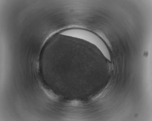 X0000097640204200803142054