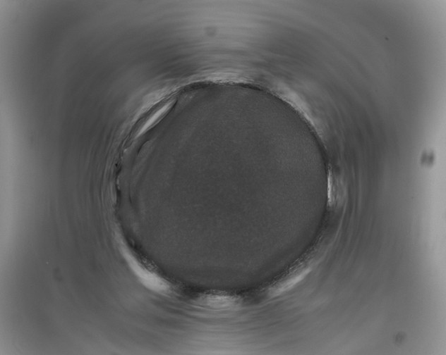 X0000097640205200803142054