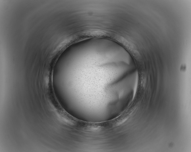 X0000097640206200803142054