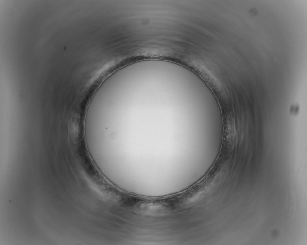 X0000097640208200803142054