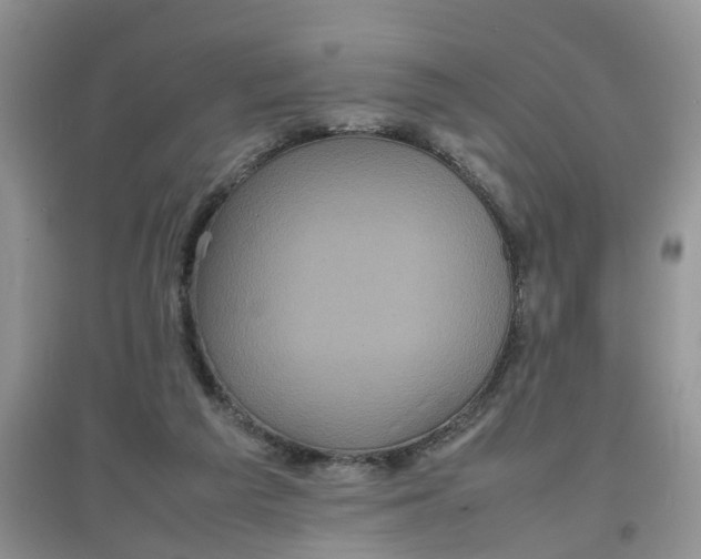 X0000097640209200803142054