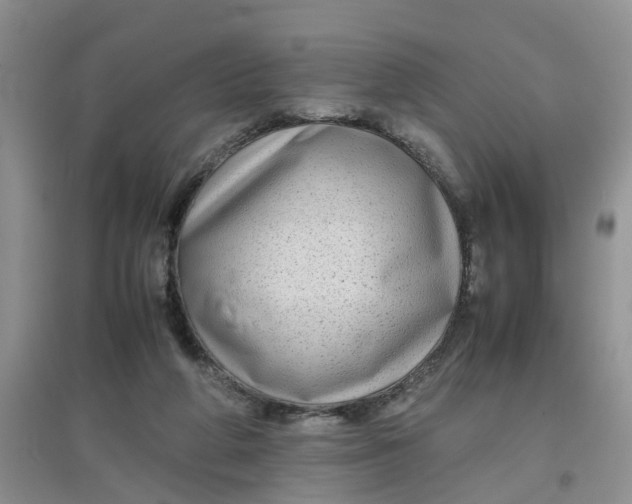 X0000097640210200803142054