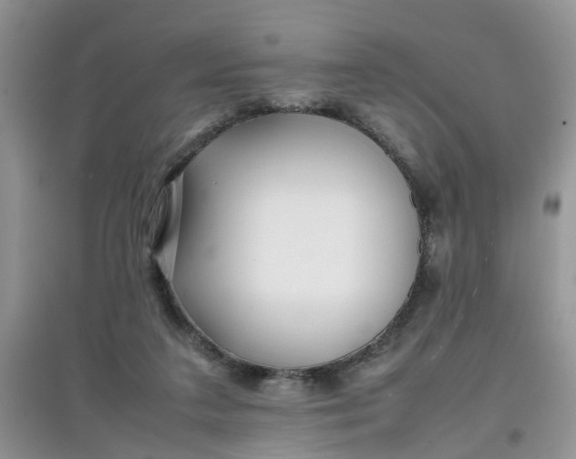 X0000097640211200803142054