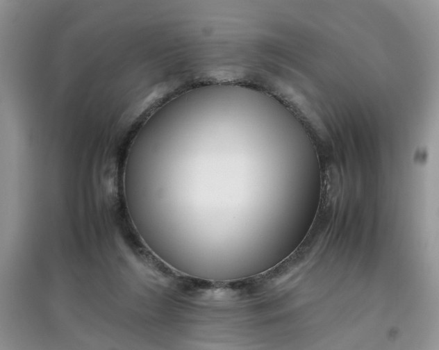 X0000097640212200803142054