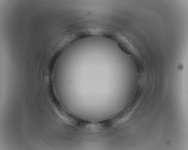 X0000097640213200803142054