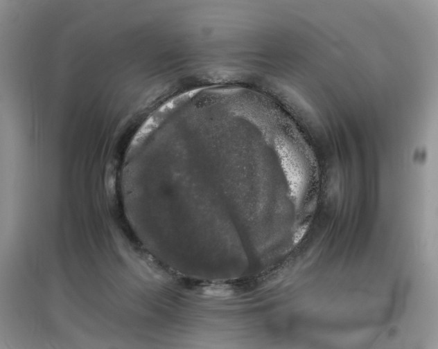 X0000097640214200803142054