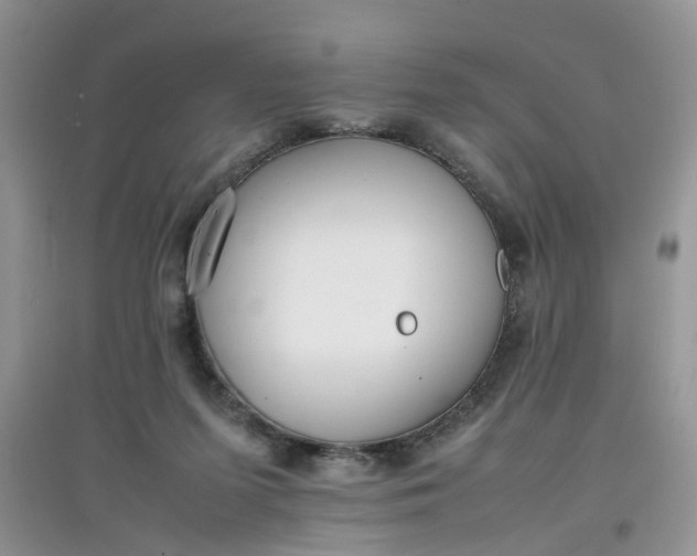 X0000097640215200803142054