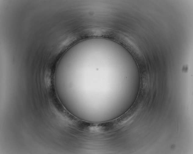 X0000097640216200803142054