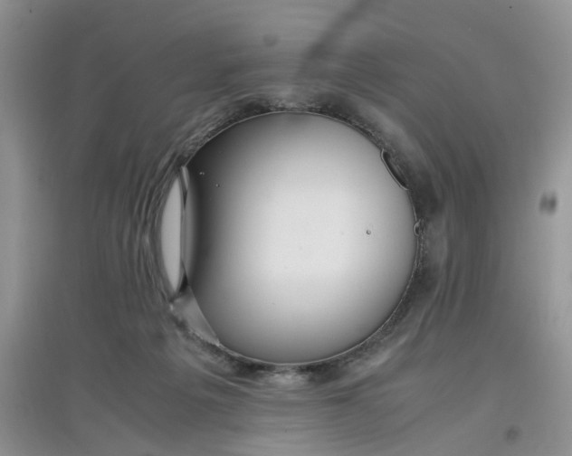 X0000097640217200803142054