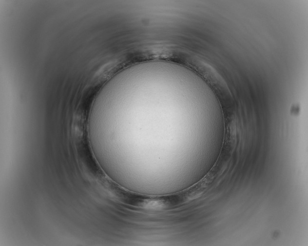 X0000097640218200803142054