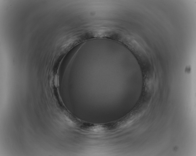 X0000097640219200803142054