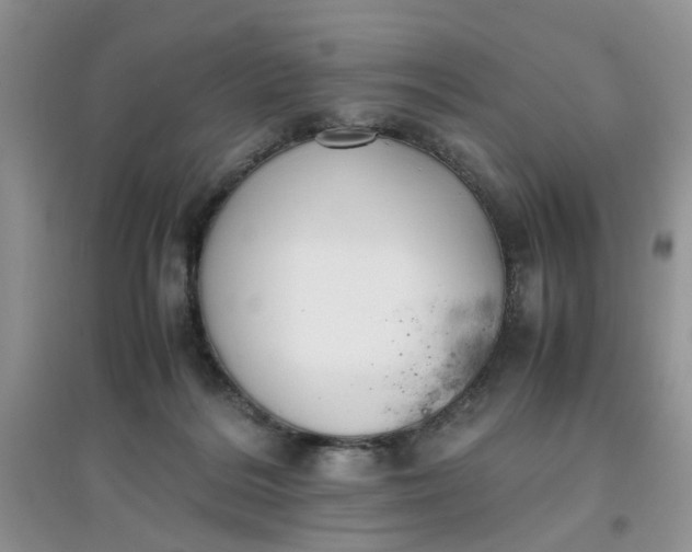 X0000097640220200803142054