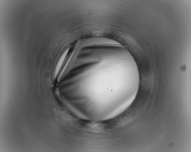 X0000097640221200803142054