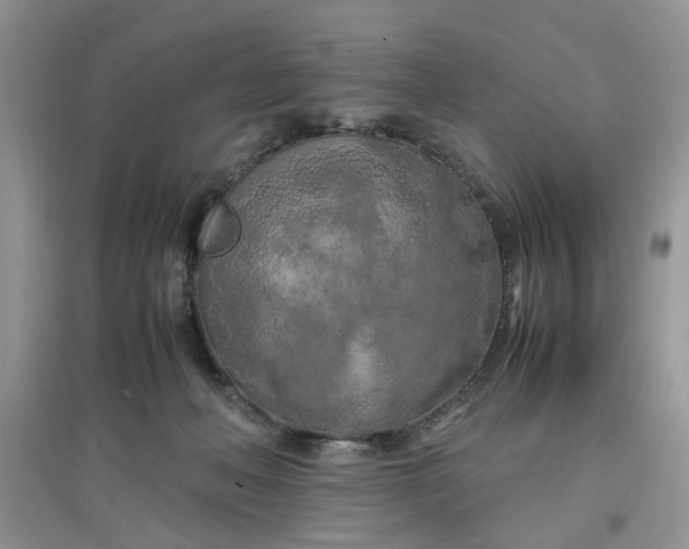 X0000097640222200803142054