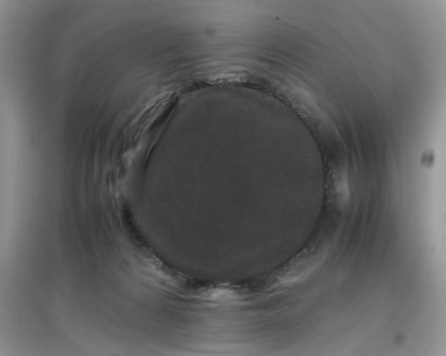 X0000097640224200803142054