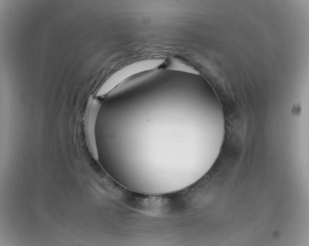 X0000097640225200803142054