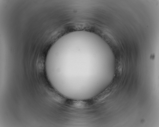 X0000097640226200803142054