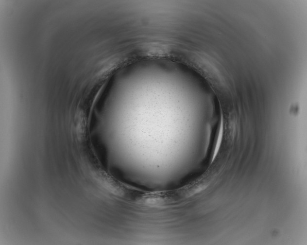 X0000097640228200803142054