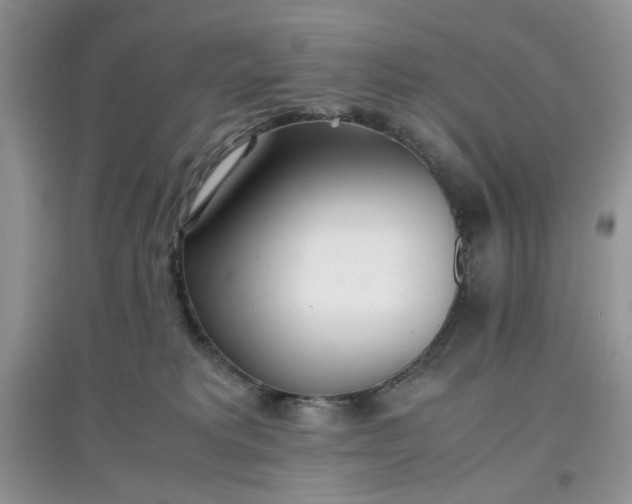 X0000097640229200803142054