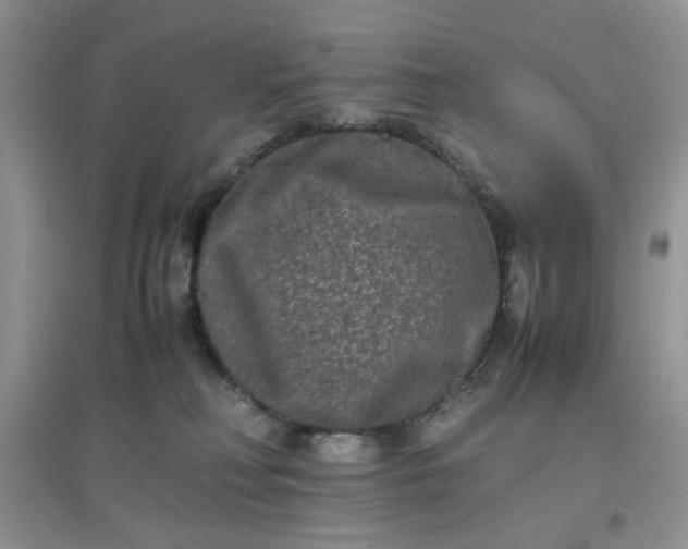 X0000097640230200803142054