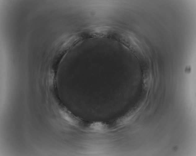 X0000097640231200803142054