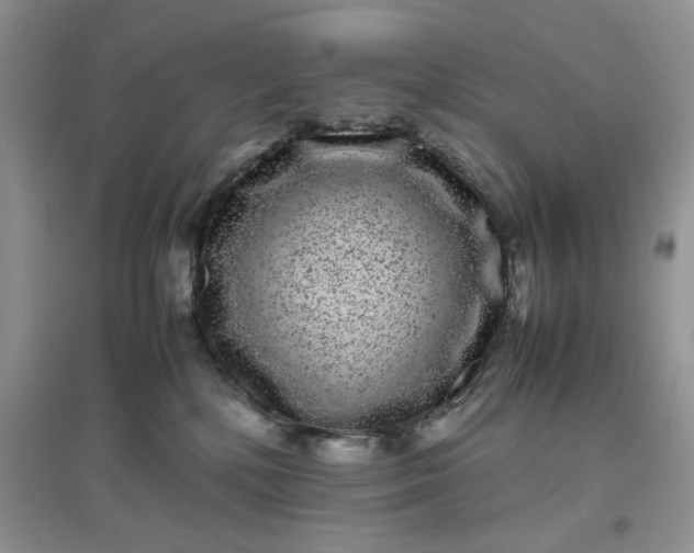 X0000097640232200803142054